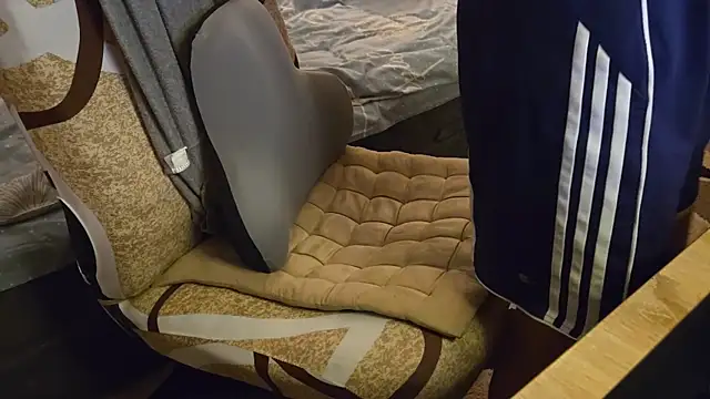 Vuitton webcam