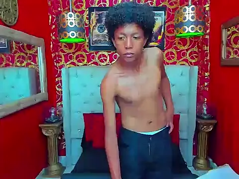 PEINBOYS webcam