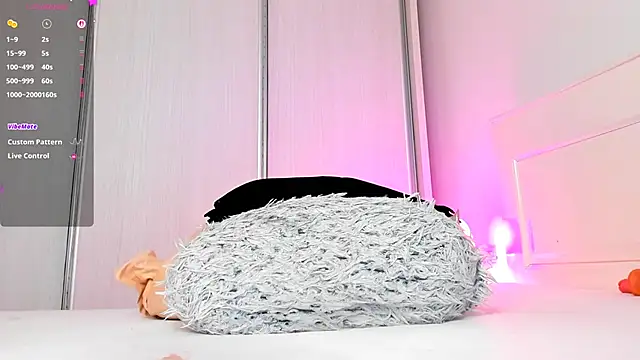 Aidasina webcam