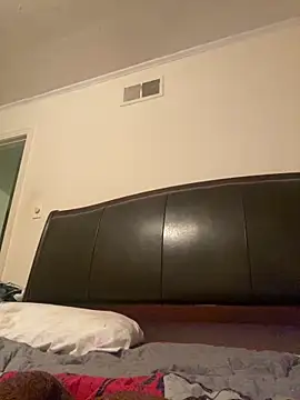 ThickDic28 webcam