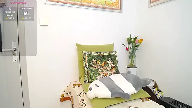 santanawa webcam