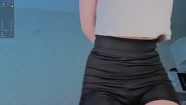 Hi_Kitti webcam
