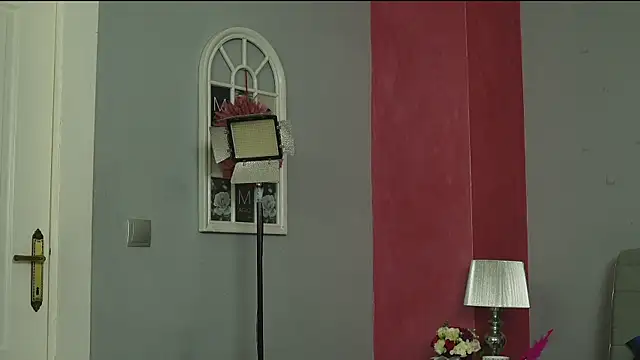ScarletVex webcam