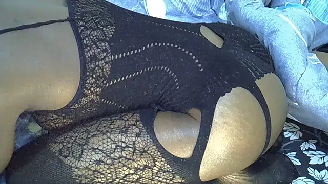 lam1523 webcam