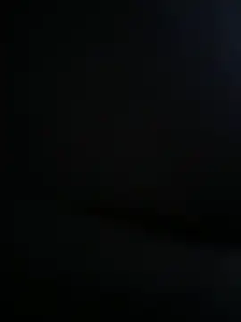 bigdick20101 webcam