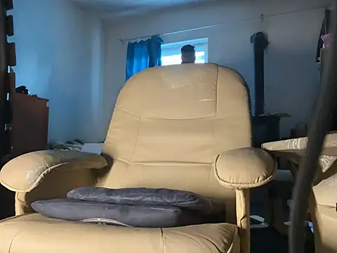 translove webcam