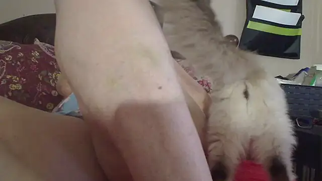 Ireallysquirt