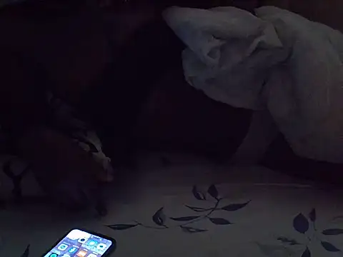 Booty_Lolah18 webcam