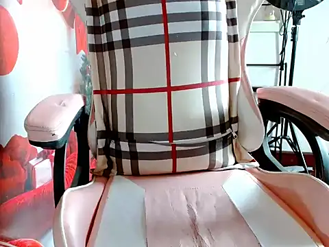 BBi-0829 webcam