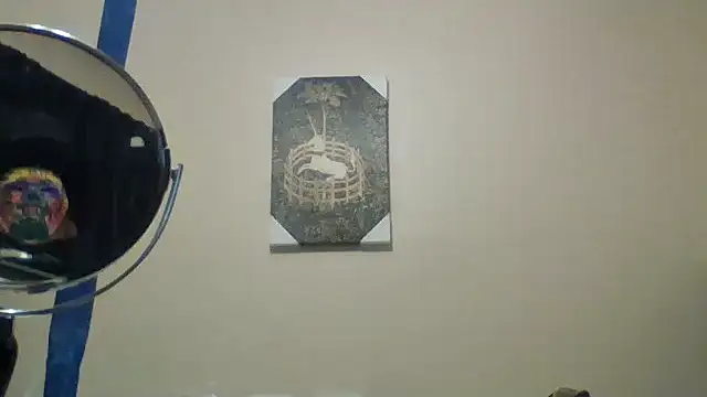 hailzeffn webcam