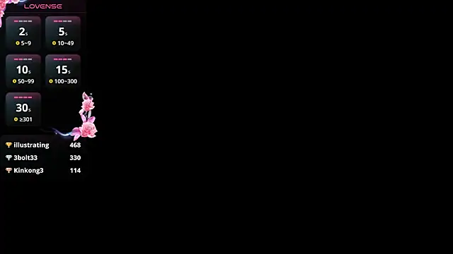 evvaavve webcam