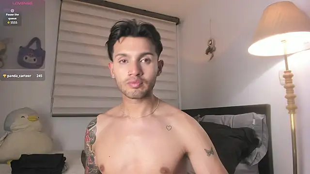 Leo_Carteer webcam