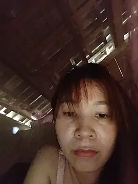 Biva11 webcam