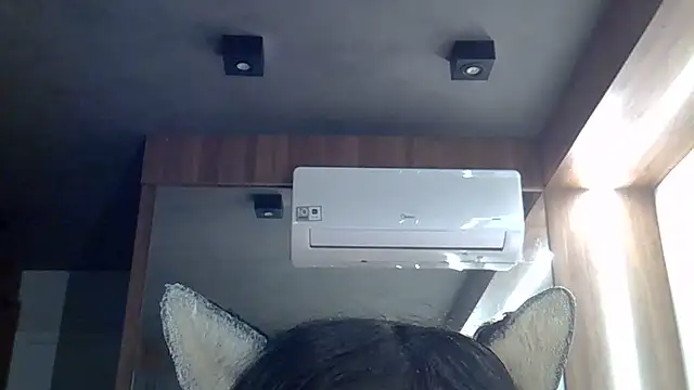 SkinnyKitten live cam