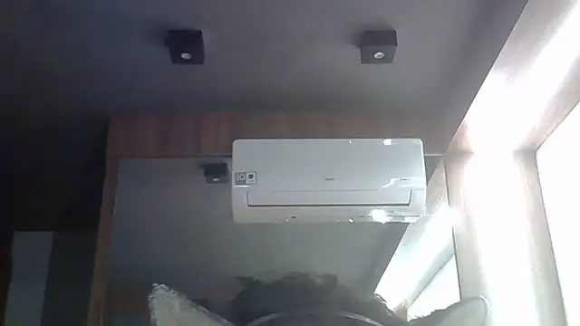 SkinnyKitten webcam