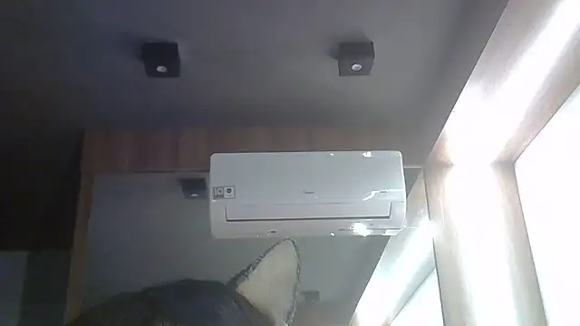 SkinnyKitten webcam