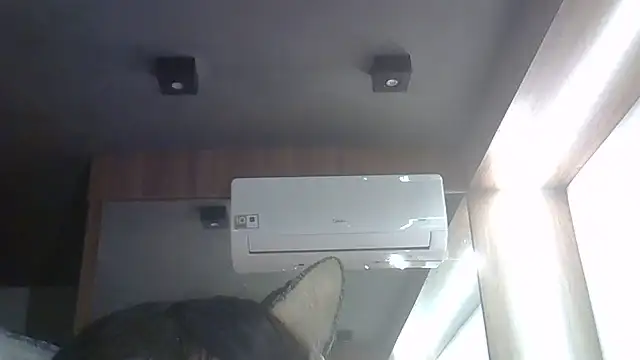 SkinnyKitten live cam