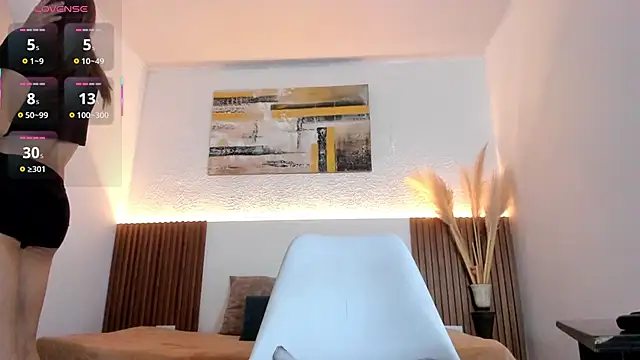 jean_sneider webcam