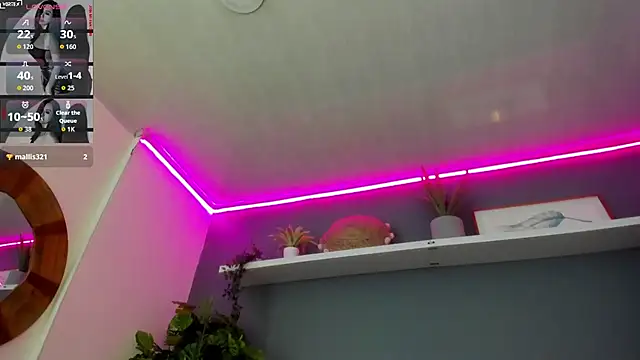 Abbyy_stone webcam