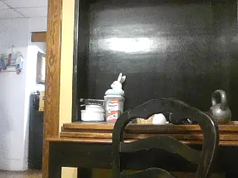 TheOneDonShaun webcam