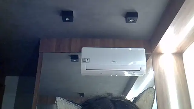 SkinnyKitten webcam