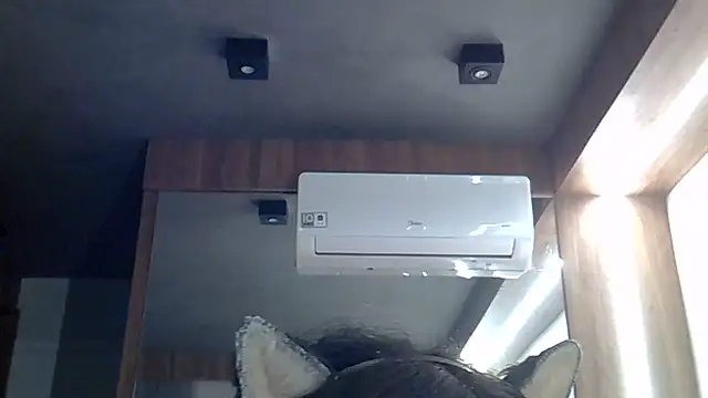 SkinnyKitten live sex cam