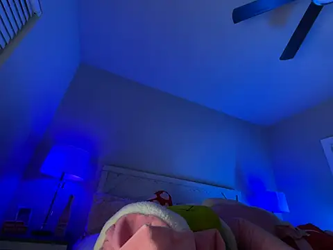 4EVAGLACIERS webcam
