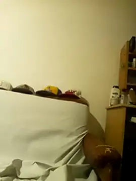 roddyron1n webcam