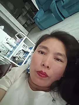 LL-001 webcam