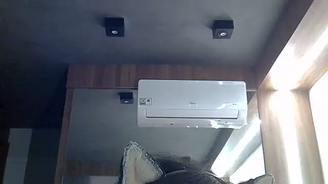 SkinnyKitten webcam