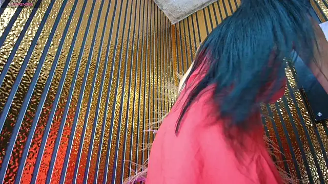 perfectmatch_ webcam