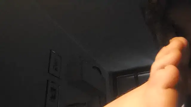 TOKYOLOV webcam