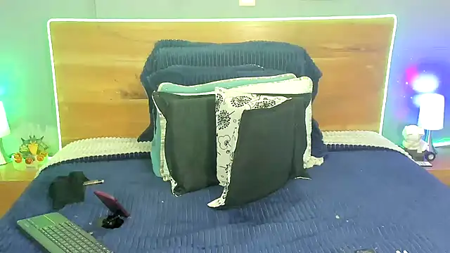 Prometeo-grizzly webcam