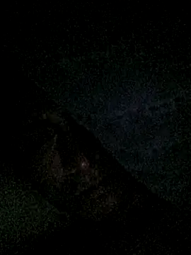 salchichon_69 webcam