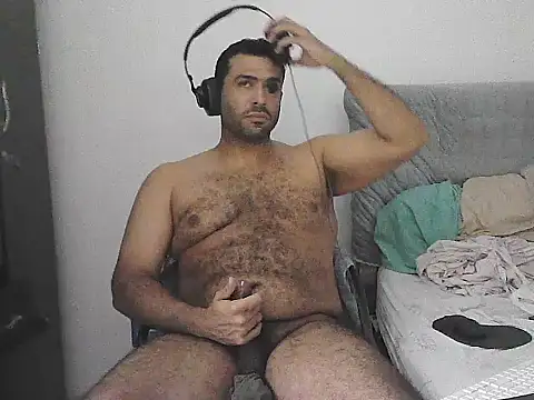 IronSideBear live cam