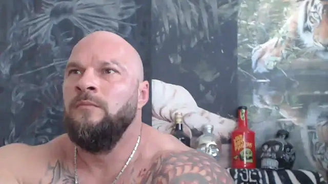 viking_30 webcam