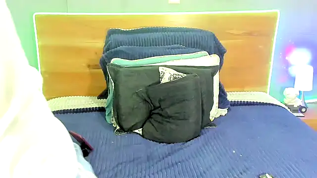 Prometeo-grizzly webcam