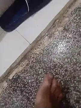 horse_Blackcock webcam