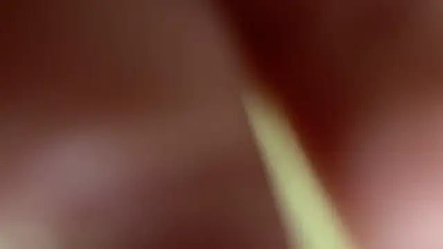 thecoldestmarch (F young) - fuck ass with domi