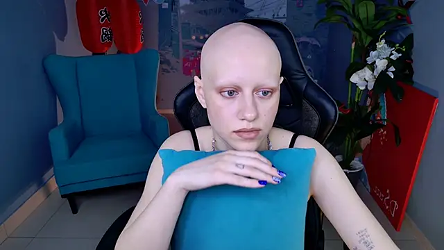 LidaDarknet webcam