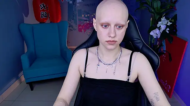 LidaDarknet webcam