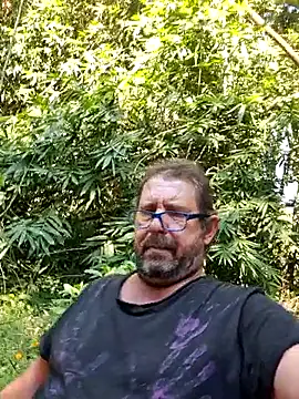 TryingWind webcam