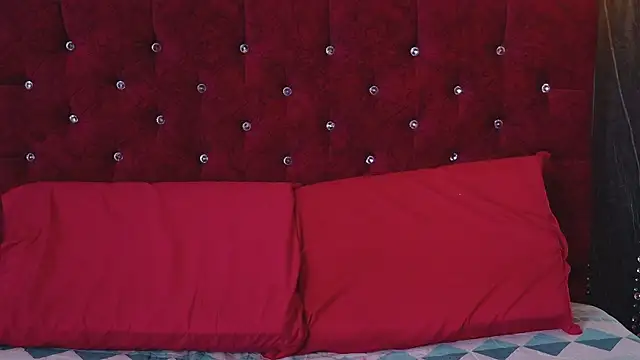 Cony_l webcam