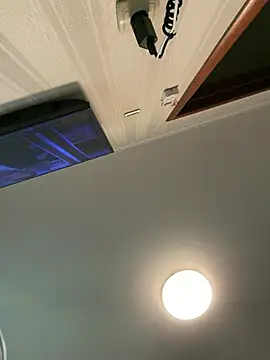 Frosl webcam