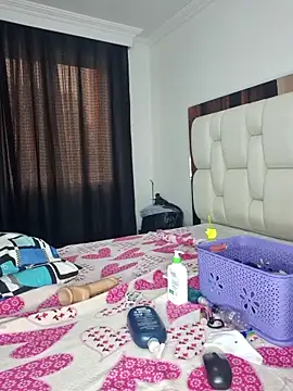 karla-bruni webcam
