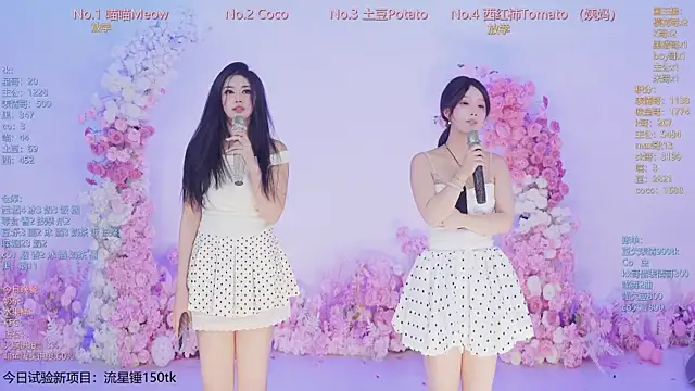 SSF-888 webcam