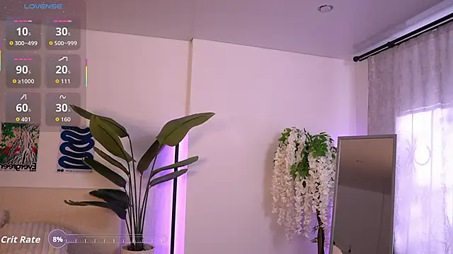 NaomiSoft webcam