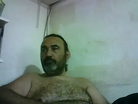 enginbasar webcam
