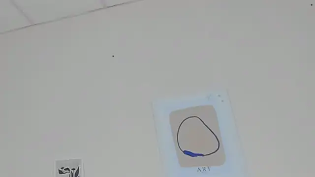 KellyWhites webcam