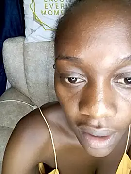 Paulahaze webcam